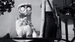 Disney - FRANKENWEENIE - Filmclip - Mr. Whiskers Vorhersehung-T7eU3tJAFjE