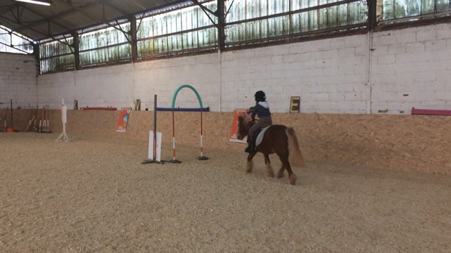 Laser poney au club hippique