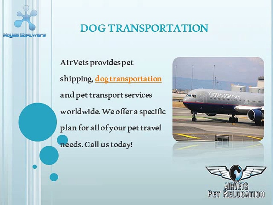 Transport Pets