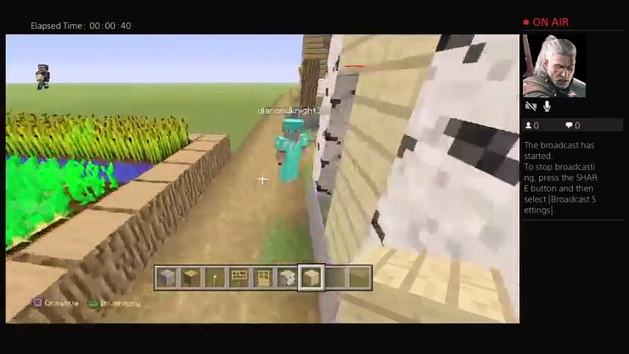 Mc villages (17)