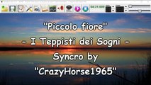 I Teppisti dei Sogni - Piccolo fiore (cori) (Syncro by CrazyHorse1965)
