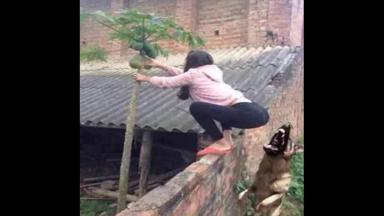 Try not laugh whatsapp videos (IMPOSSIBLE CHALLENGE)-2-GÜLMEMEK İMKANSIZ (Komik whatsapp videoları)