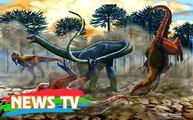 Sau đại thảm họa tuyệt chủng, đây là loài khủng long duy nhất trên Trái Đất còn sống sót
