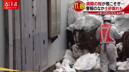 世界フィギュアスケート国別対抗戦2017　男女ショートほか   2017年04月20日 170420 (48)