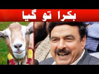 Sheikh Rasheed Bakron ka Sadqa Dain Ge