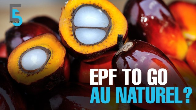EVENING 5: EPF turns to natural resources
