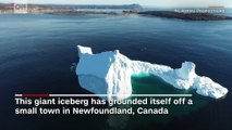 Huge iceberg grounded off small town
