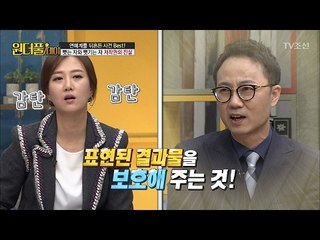 요리 프로그램의 레시피, 저작권 있을까?! [스타쇼 원더풀데이] 18회 20170214