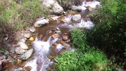 Río Lanjarón, 20 de Abril de 2017