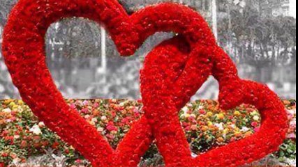 cheb Amine (shab elhadra khatini) , الشاب أمين (صحاب الهدرة خاطيني)