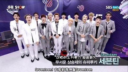 [Mansae时期] SEVENTEEN 5秒Interview