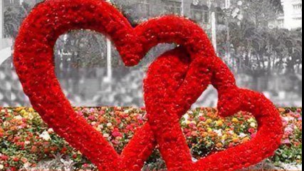 cheb Amine (hsebt m3ek ghedi nafrah) , الشاب أمين (حسبت معاك غادي نفرح)