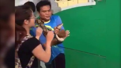 Elle veut embrasser un python et va le regretter...