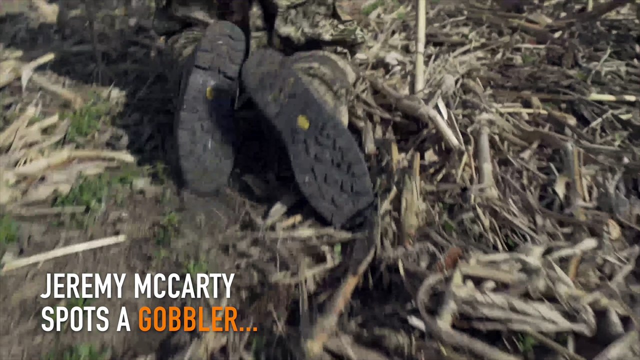Turkey Reaping with a Bow