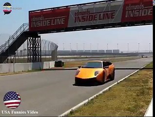 Animais que escaparam à morte por milímetros