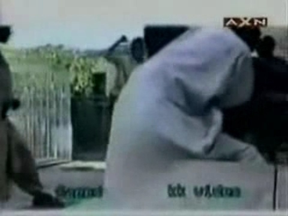 Attaque d'un lion en direct