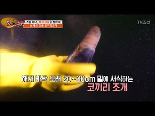 대물급 코끼리조개 실제 채취 영상! [뉴 코리아 헌터] 37회 20170213