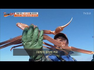 울진의 보물! 울진 대게를 잡다! [뉴 코리아 헌터] 37회 20170213