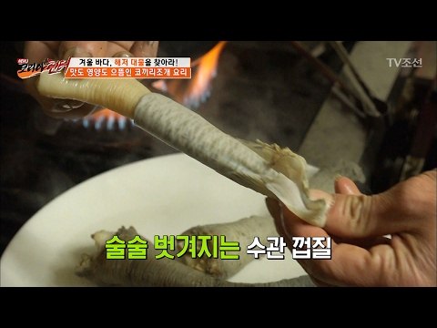 대물 코끼리조개, 1kg에 가격이? 상상초월! [뉴 코리아 헌터] 37회 20170213