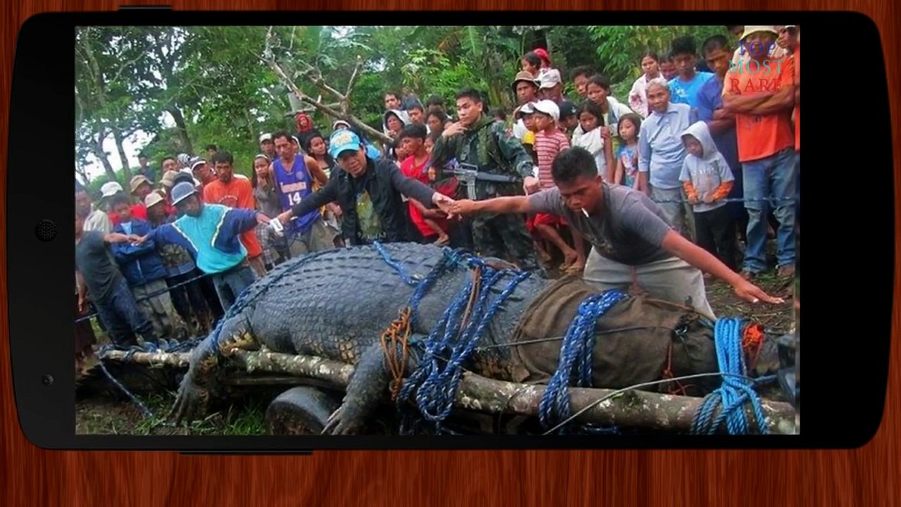 World's 10 Biggest Animals of Its Kind - TMR 32 - TOP MOST RARE