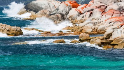 Baie de Feux Tasmanie Australie