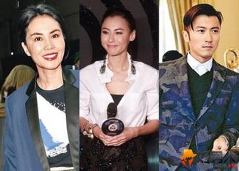 张柏芝经纪人回复粉丝 力破张柏芝谢霆锋复合谣言