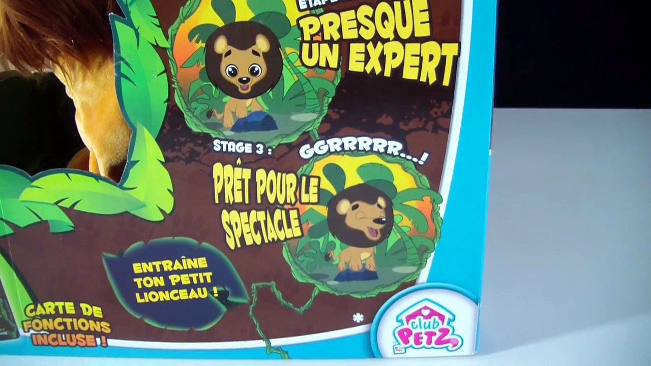 Je Pilote un AVION avec KOKUM le  Lionceau