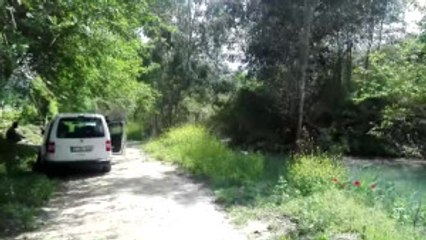 Adana'da Ormanlık Alanda Kemik Parçaları Bulundu