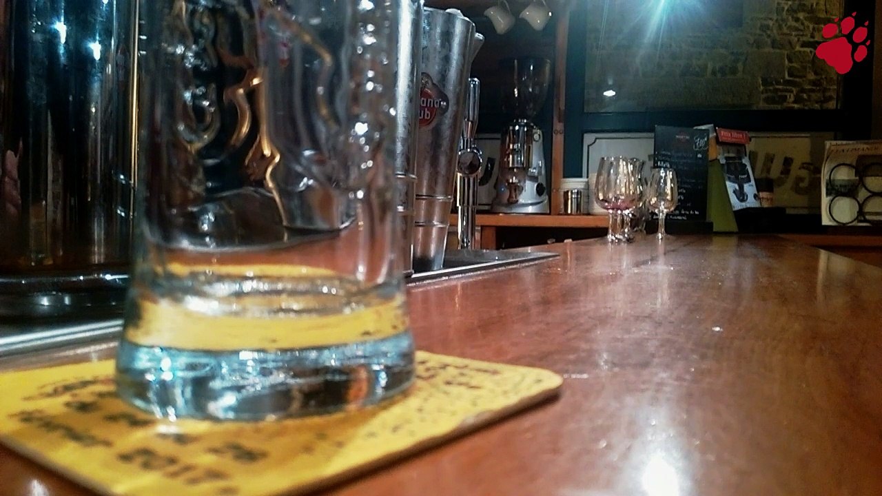 Les journalistes allemands de TAZ à la rencontre des électeurs