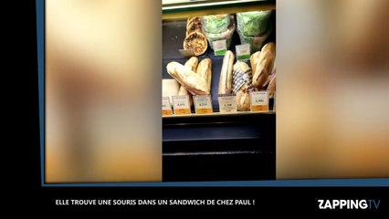 Créteil : elle trouve une crotte de souris dans son sandwich Paul et finit aux urgences (vidéo)