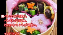 【海外の反応】世界の子供たちのランチの差が話題に。日本のお弁当に羨望の声「日本までランチを食べに行ってくる！」「日本のママさんたちから大切なことを教えられた」