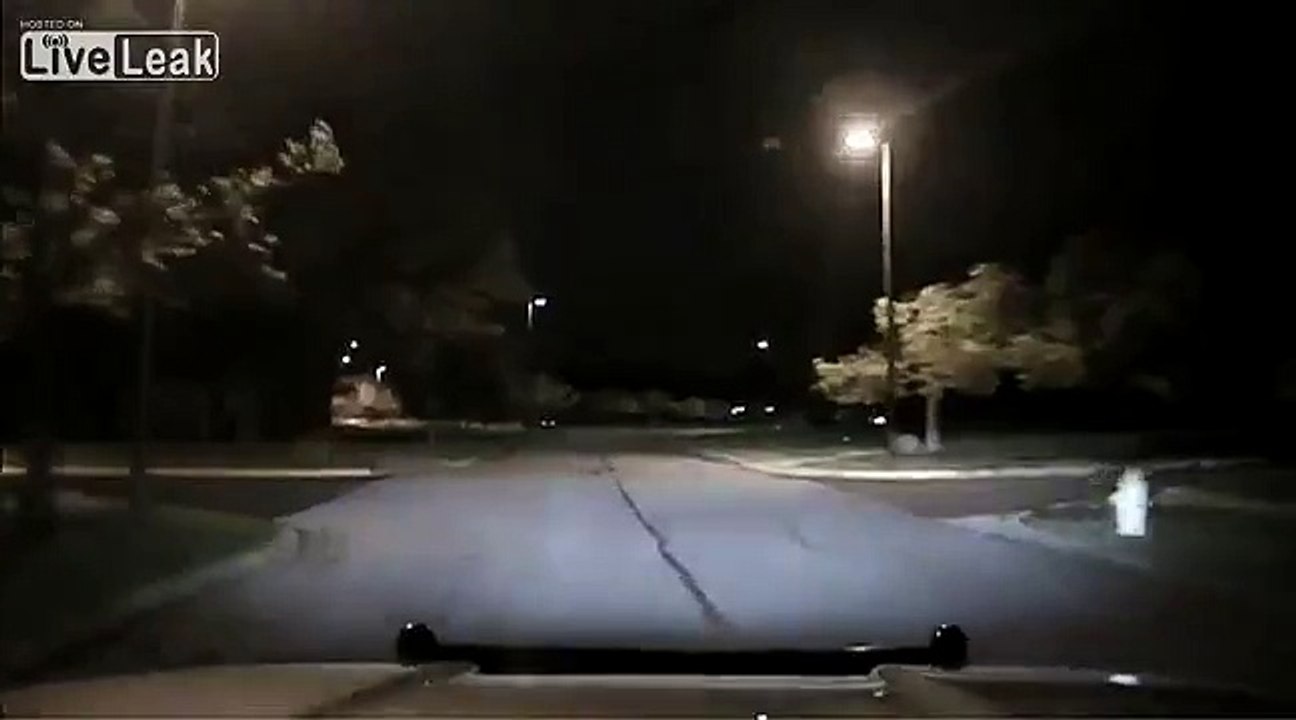 Deer Fight Caught On Dashcam