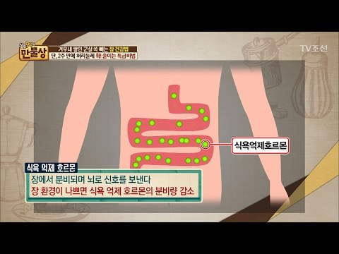 뱃살 많은 사람의 특징은? 해결책은 ‘장 건강’ [만물상 179회] 20170212