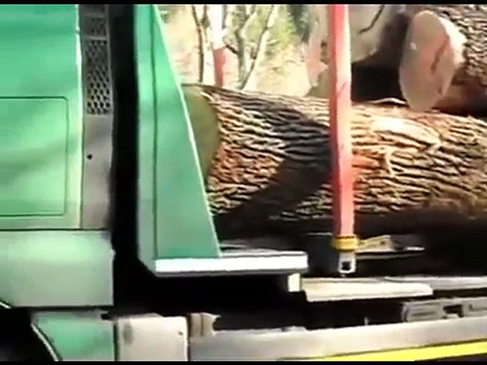 lady Driver  (Ziya Khan