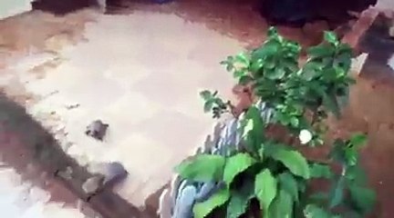 Awesome VIDEO - Don't Forget To Watch (1)