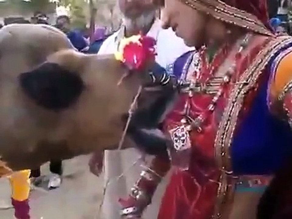 Whatsapp comedy video clips
