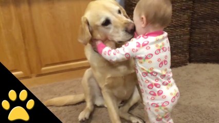 Funny dogs and babies compilation 2017 Best funny dogs and baby videos ever