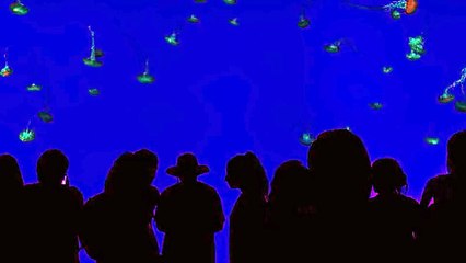 시흥건마 リ 시흥오피 み 오피쓰 ゃ 시흥휴게텔 시흥키스방 시흥마사지