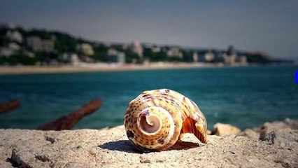 구의건마 だ 구의오피 に 오피쓰 や 구의휴게텔 구의키스방 구의마사지