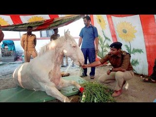 Shaktiman Park to be inaugurated by Harish Rawat | Oneindia News