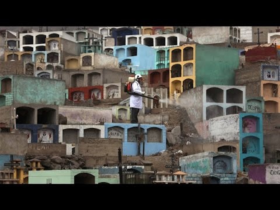 Zika outbreak in Peru, 30 pregnant women infected | Oneindia News