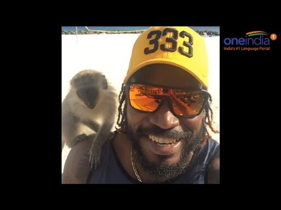 Chris Gayle reveals new drinking partner, Watch Video | Oneindia News