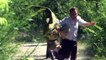 Un joggeur se fait poursuivre par un dinosaure