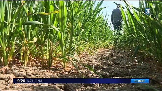 Sécheresse : l'inquiétude des agriculteurs