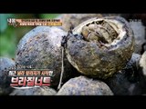 유방암 후유증 극복을 도와주는 ‘브라질너트’ [내 몸 사용설명서] 141회 20170210