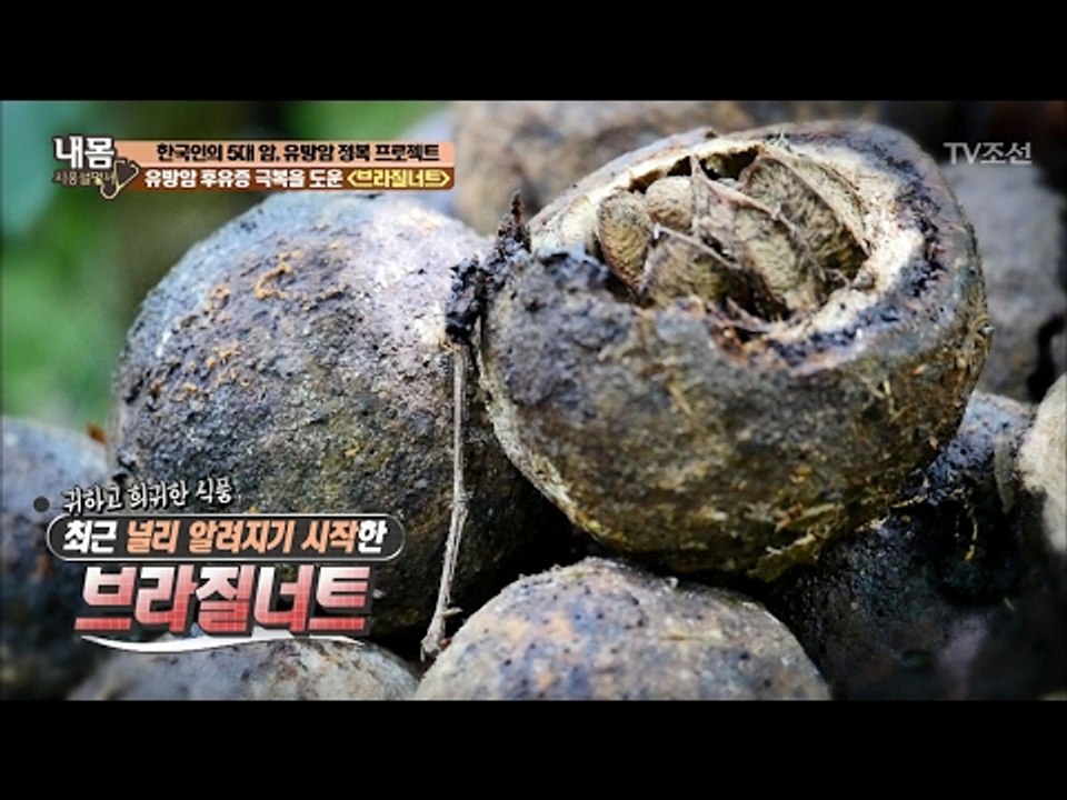 유방암 후유증 극복을 도와주는 ‘브라질너트’ [내 몸 사용설명서] 141회 20170210