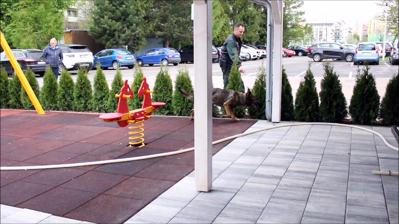 Police dog drug seeker Piestany Slovakia