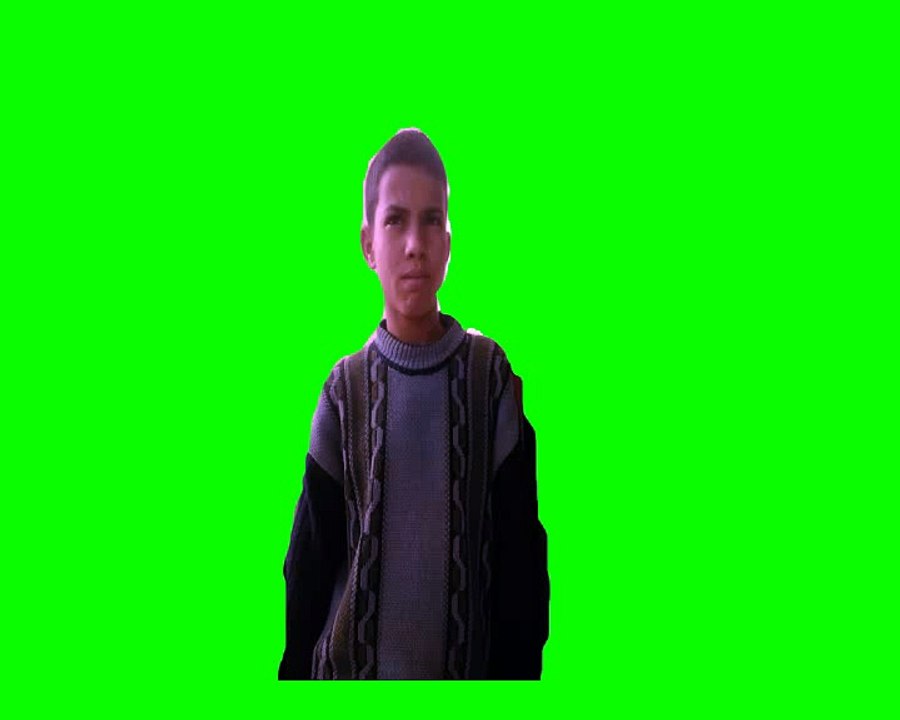 LE CHIEN CROCHER GREEN SCREEN