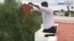 MBBS student throwing dog from terrace in Chennai, Watch horrifying video | Oneindia News