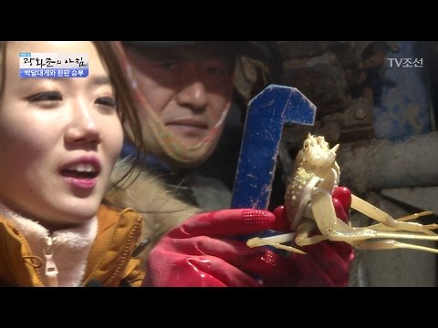 미녀 리포터가 직접 잡은 게! [광화문의 아침] 418회 20170209